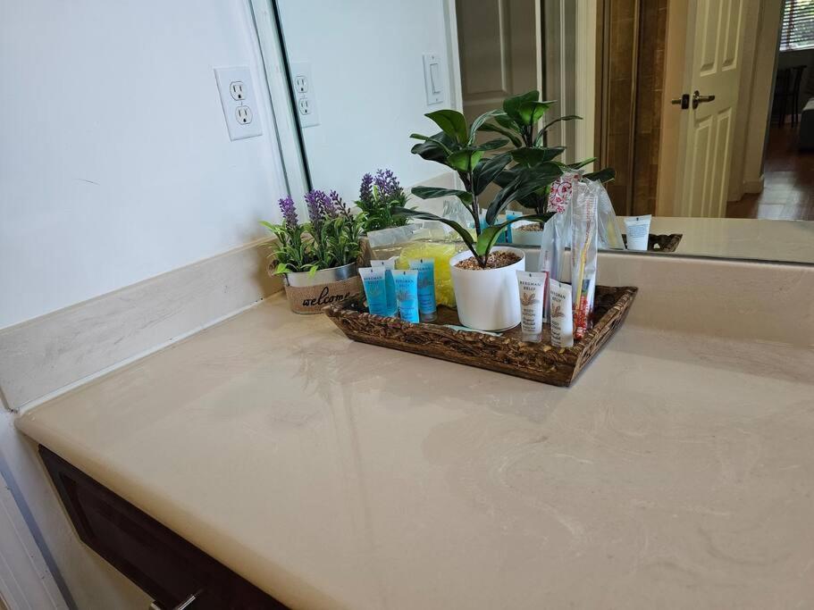D&N Property Rental Miami Kültér fotó